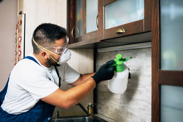 Best Termite Control Services  in Baywood, NY