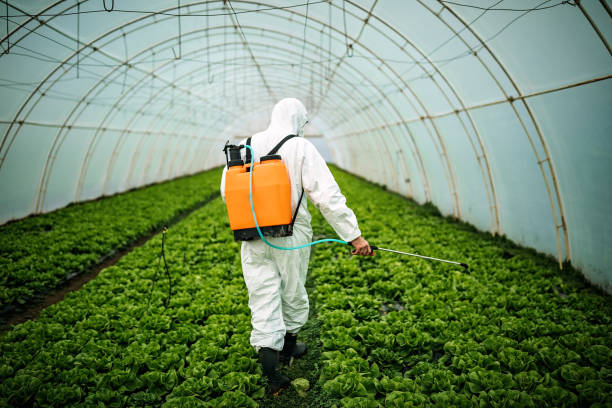 Pest Control for Restaurants in Baywood, NY
